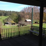 Spacious back deck for relaxing and taking in views of valley & wildlife.